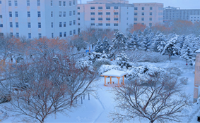 bac5f8eaaeb22cf711ef6641f9a5508