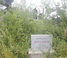 C:\Documents and Settings\Administrator\桌面\Cache_cc0f1b017b0bfdb..jpg