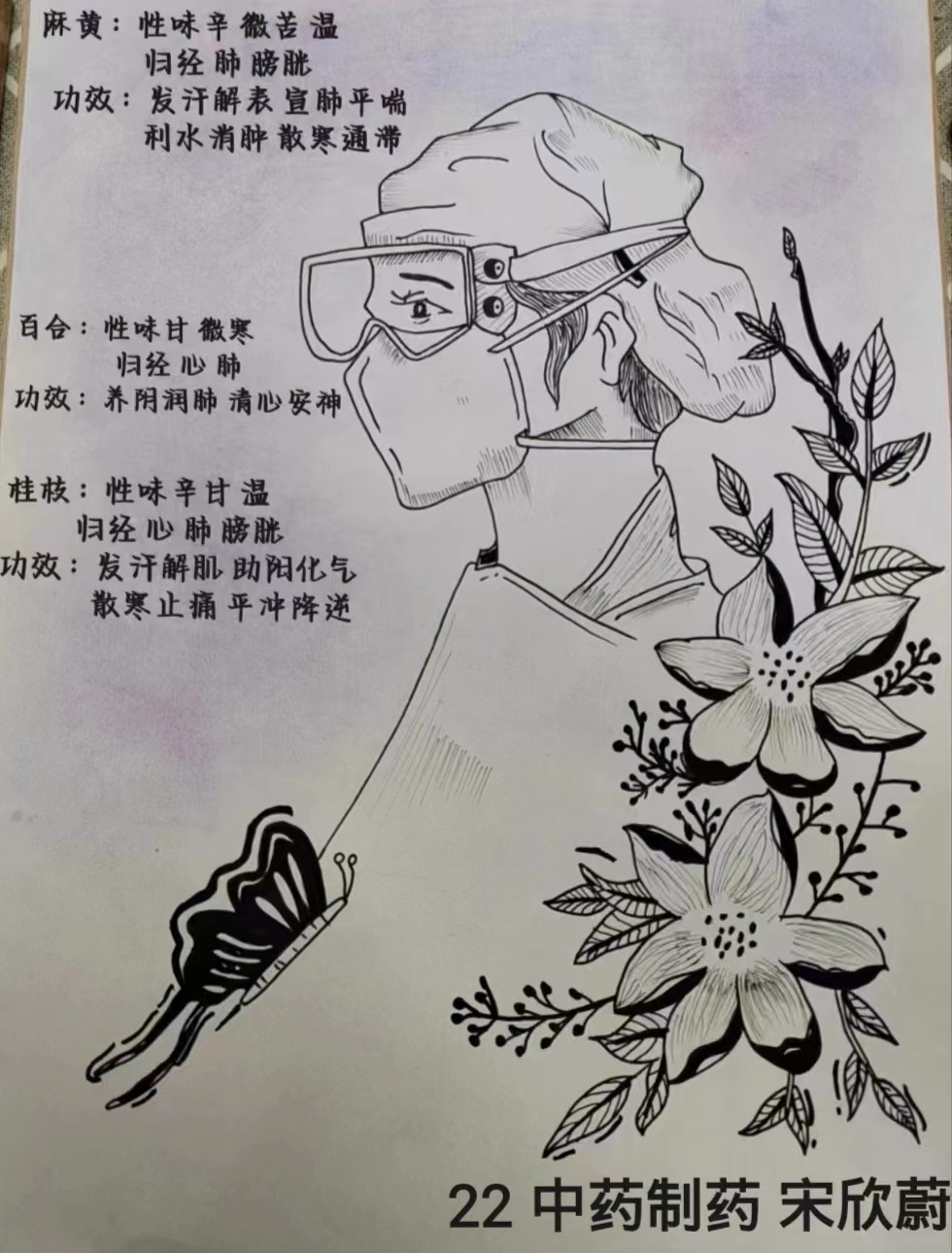药学系举办“绘百草入画 传千年国粹”手绘中药抗疫比赛-辽宁医药职业学院