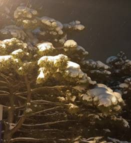 86dddbbe39d08f5e5dbcc2a2612d551