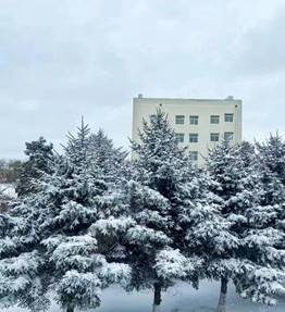 aa3b69d279f5953cfc12ba638d3e05d